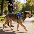 thumbnail image 4 of Wuztai No Pull Dog Harness, Reflective Pet Vest Harness with Handle, Adjustable Breathable Mesh Dog Harness for Walking Training Control, 4 of 6
