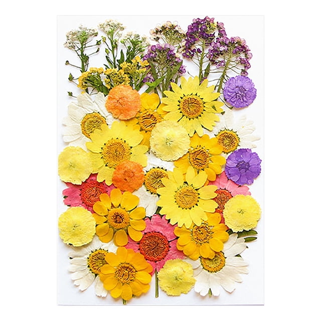 Meitianfacai 11 Types 40 Pcs Fleurs Pressées Séchées Rouges pour Moules en Résine, Véritables Fleurs Pressées Naturelles pour Bricolage Artistique, Fabrication de Bougies, Déco d'Ongles, Fabrication de Savon, Étui de Téléphone