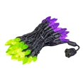 thumbnail image 1 of Novelty Lights 24 Feet Purple & Lime Green Halloween String Lights, 1 of 5