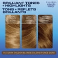 thumbnail image 4 of Clairol Nice'n Easy Permanent Hair Dye, 4 of 9
