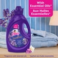 thumbnail image 2 of Fleecy Sensations Liquid Fabric Conditioner, Lavender Scent, 2.6 L, 2 of 8