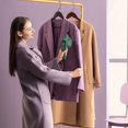 thumbnail image 4 of Iron, Mini Steam Iron, Space-Saving Travel Iron for Travel and Home, Small Steam Iron, 4 of 5