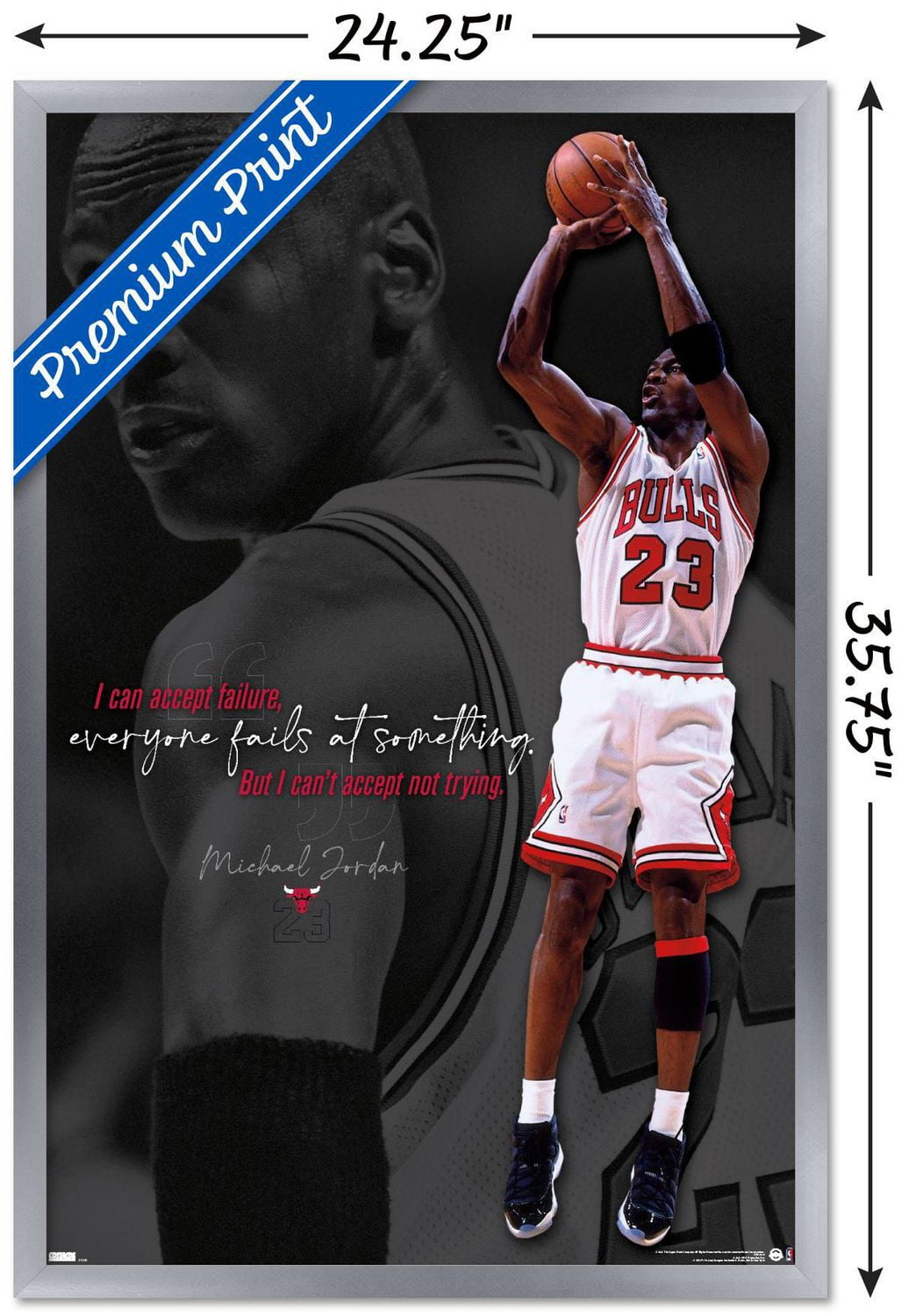 Michael Jordan - Je ne peux pas accepter de ne pas essayer