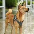thumbnail image 3 of PETKIT Air Pro Harness, Medium, Light Foam, Shock Absorbent, Breathable, for Medium and Small Animals (Medium), 3 of 7