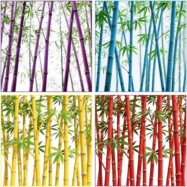 GSDWIUEW 200+ Mix Giant Bamboo Seeds for Planting Outdoors, Privacy Screen Good for Environment Shade-Landscaping -Tolerant Home Decor Landscaping, Fast Growing
