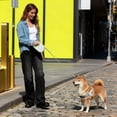 thumbnail image 4 of Laisse Rétractable pour Chien avec Sangle Extensible, Poignée et Mécanisme de Verrouillage à Pause pour la Marche Extérieure, l'Entraînement et le Contrôle en Voyage, 4 of 6