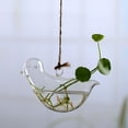 thumbnail image 3 of Hanging Glass Flowers Plant Vase Bottle Terrarium Container Home Garden Decors, 3 of 5