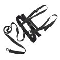 thumbnail image 1 of Kids Ski Shoulder Harness, Portable Kids Ski  Strap Plastic Easy To Use  For Cycling Black,Red,Orange, 1 of 8