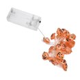 thumbnail image 1 of String Light, Halloween Light 20LED Lumière Chaude pour Intérieur pour Jardin pour Extérieur, 1 of 8