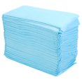 thumbnail image 1 of 40pcs Disposable Dog Pee Pads Practical Pet Training Wee Pads Simple Pet Supplies, 1 of 8
