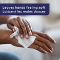 thumbnail image 3 of Wet Ones Antibacterial Hand Wipes, Citrus Scent Wet Wipes, 3 of 9