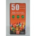 thumbnail image 1 of 50 Lt Mini Indoor Mini Light Set (Multi-Ampoules) - Ensemble De 2, 1 of 1