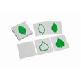 thumbnail image 1 of IFIT Montessori Leaf Cards, Montessori Toy Botany Materials, 1 of 2