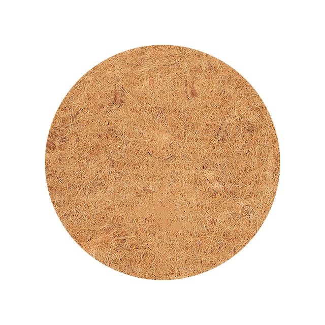 Suncoda Coconut Palm, Coconuts Silk Flat Mat Flower Pot Mat Floor Mat