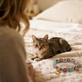 thumbnail image 4 of Pet Collars Cat Collar Breakaway And Pendant Adjustable Collars For Small Cats Party Collar Neck Ring, 4 of 4