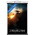 thumbnail image 3 of Dragons (2025) - Fiche d'information, 3 of 3