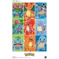 thumbnail image 4 of Buffalo Games - Pokémon - First Partner Pokémon Kanto - 300 Piece Jigsaw Puzzle, 4 of 5