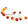 thumbnail image 1 of MesaSe 48PCS Small Artificial Fruit Berries with Stem Fake Flowers Cherry  DIY Craft Accessory (Yellowish Red), 1 of 6