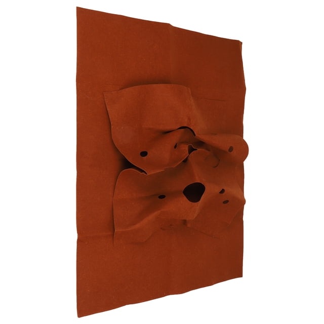 Pet Training Mats, Practical Pet Play Mat Pet Activity Interactive Pad for Activity