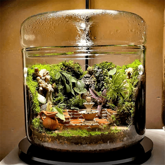 Micro-Landscape Glass Terrarium with Dew Collection Cover, Bonsai Vase Glass Microscopic Landscape Ecological Bottle S