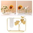 thumbnail image 2 of serony Nordic Hydroponics Vase Transparent Flower Planter for Desktop Decoration, 2 of 8