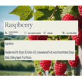 thumbnail image 2 of St. Dalfour Red Raspberry Deluxe Spread, 2 of 5