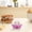 Pink, variant on Kctiaxy Egg Boiler Multifunctional Eggs Cooker (Single Layer, Standard) Kitchen Appliances