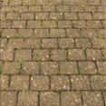 thumbnail image 1 of Ahgly Company Tapis d'Intérieur Lavable en Machine Carré Transitionnel Rouge Brun, 4 Pieds Carré, 1 of 7