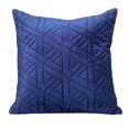 thumbnail image 1 of Parkland Collection PILL21398P Delta Coussin Carré Bleu Transitionnel, 1 of 3