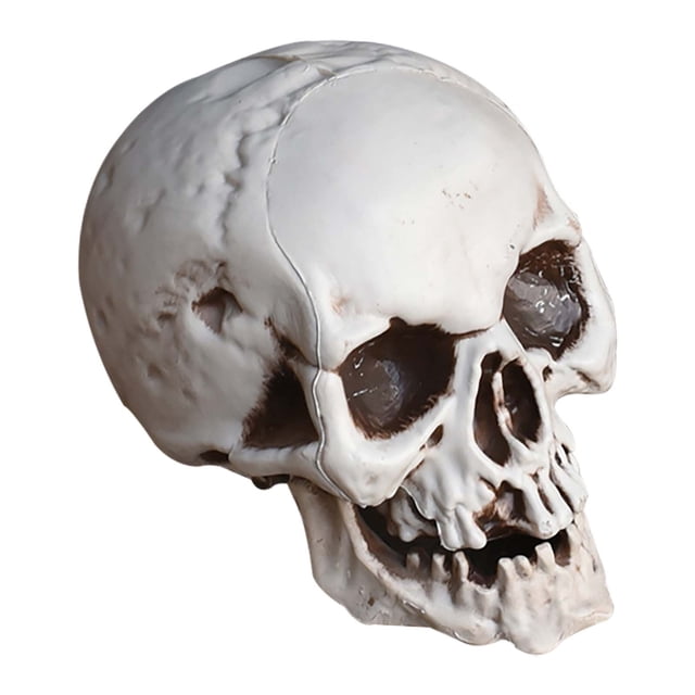 Halloween Decorations Outdoor,Halloween Skeletons Plastic Realistic Fake Simulation Human Skull Headbone Model Halloween Prop Realistic Mini Skeleton Spooky Halloween Decoration