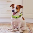 thumbnail image 2 of LSLJS Dog Collar, Soft Nylon Dog Collar with Waterproof Holder Cover, Durable Dog Collar Accessory for Small Dogs (Small), 2 of 2