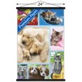 thumbnail image 2 of Keith Kimberlin - Collage de chiots et de chatons, 2 of 4