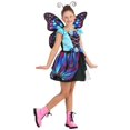 thumbnail image 1 of Girl's Vibrant Butterfly Costume, 1 of 7