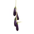 thumbnail image 1 of MesaSe Artificial Fruit Foam Vegetable Corn Pepper Garlic Hanging Photo Prop Home Decor, 1 of 8