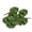 Dark Green, variant on lionlar 1:150 N Trees Model Layout Train Garden Building Park Landscape Scenery 20 Green