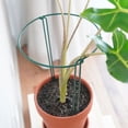 thumbnail image 4 of JJKBVCLO Support Semi Circle Garden Support Ring Cage A Semi Circle Holder Suitable For Vegetables Potted Tomatoes Flowers Peonies And Roses 25 X 40 Cm, 4 of 8