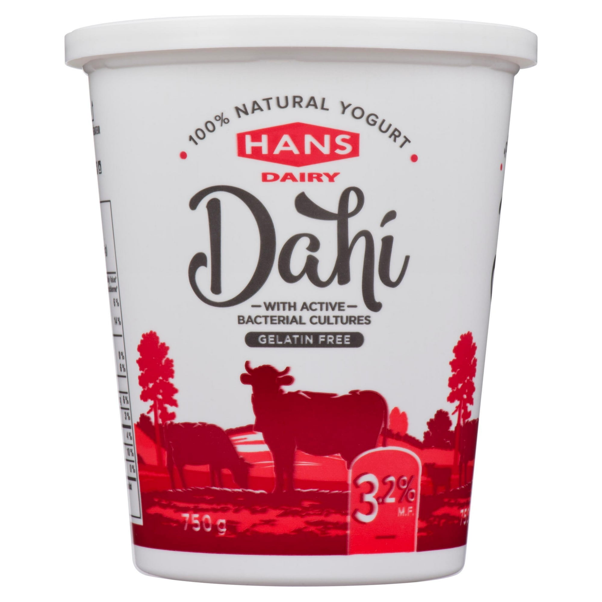 Yogourt nature Dahi de Hans Dairy à 3,2 % M.G.