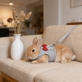 thumbnail image 4 of Small Pet Harness and Leash Set, Xinsrenus Breathable Mesh Rabbit Vest Harness Adjustable, Escape Proof Traction Rope for Rabbits Guinea Pigs Outdoor Walking with Quick Dry Padding, Gray, 4 of 6