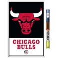 thumbnail image 1 of NBA Chicago Bulls - Logo 21 Wall Poster, 22.375" x 34" Framed, 1 of 4