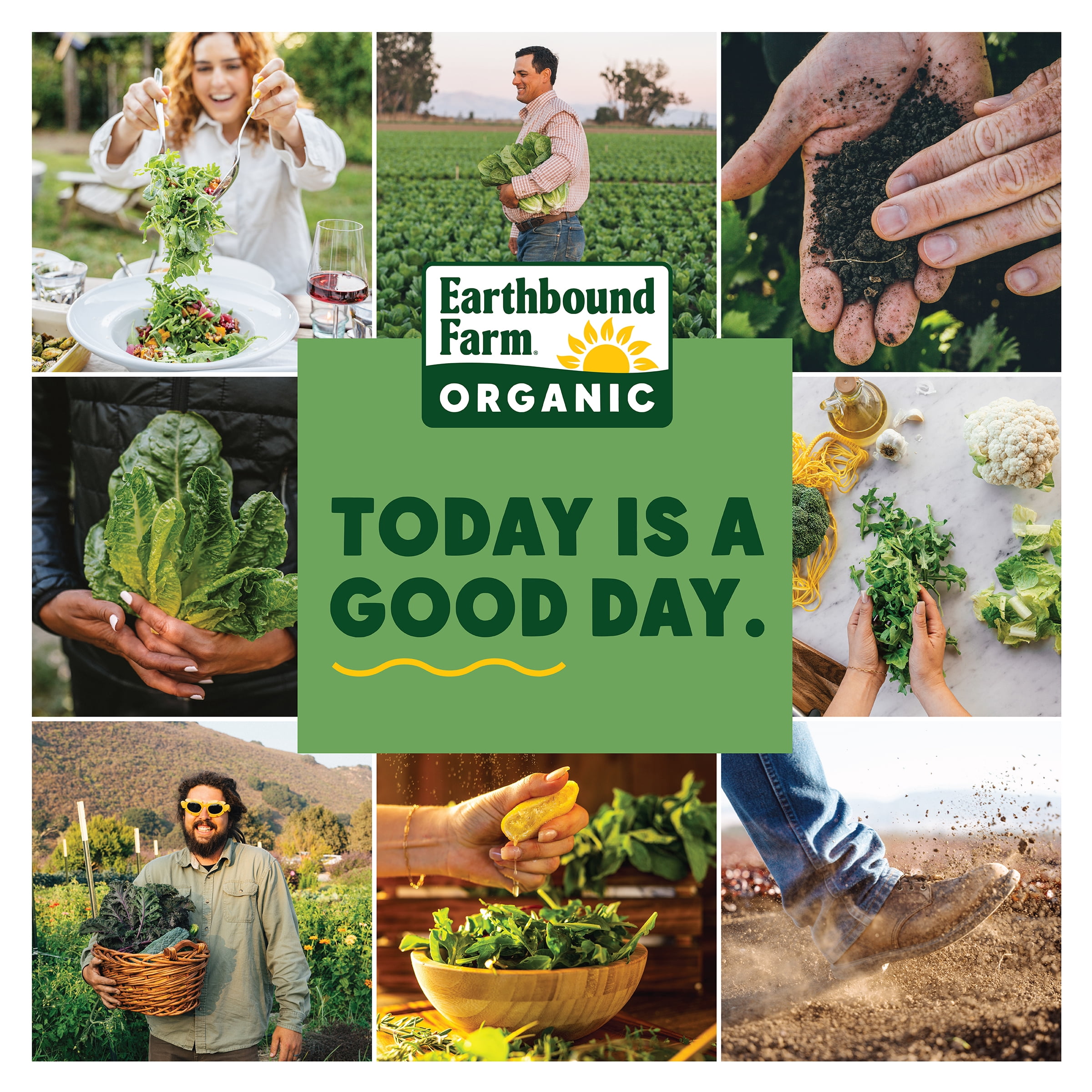 Earthbound Farm Organic Spring Mix. 284g