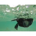 thumbnail image 4 of ActionHat Camo Flat Bill - Support Flottant Breveté Compatible pour GoPro, DJI, Caméras d'Action Insta360, 4 of 5