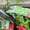 Green, variant on Kbndieu Polyester Gardening Glo Ves Gardening Gloves Gardening Gloves for Women Gloves for Gardening Kitchen & Dining