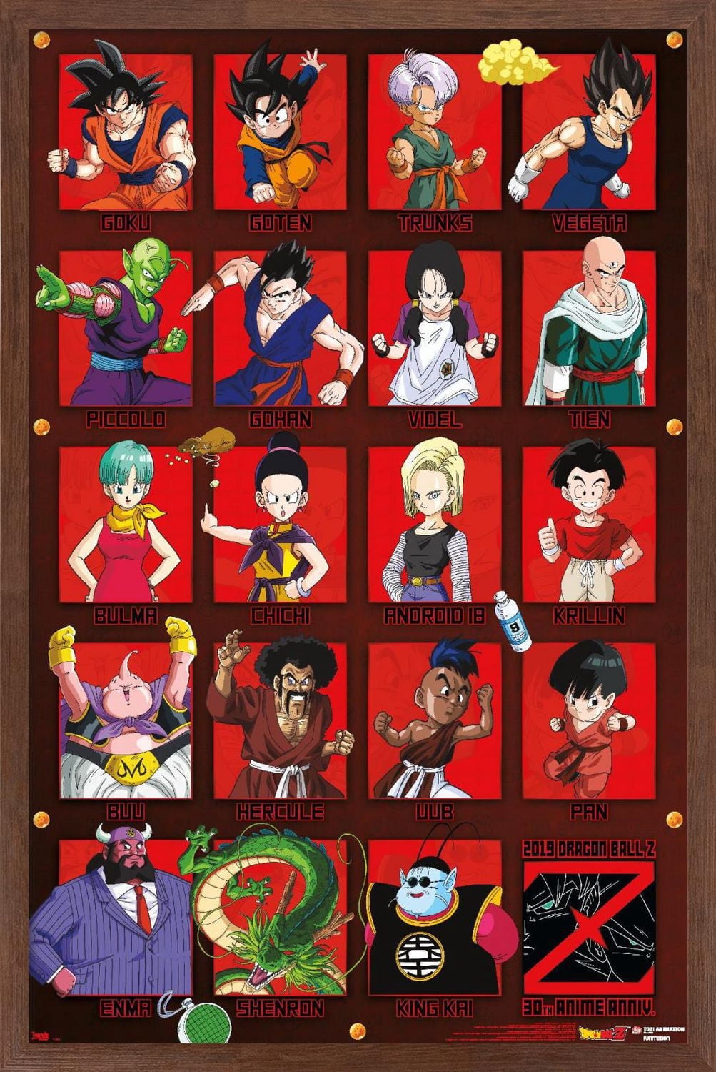 Dragon Ball Z - Anniversaire
