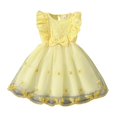 thumbnail image 1 of Girls Birthday Party Dress Polka Dots Embroidery Pageant Evening Gown for, 1 of 9