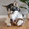 thumbnail image 4 of Lumabone Bacon-Flavored Ring Dog Chew Toy, Medium, 4 of 4