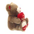 thumbnail image 5 of Way To Celebrate Valentine Sweetheart Teddy, Brown, 5 of 5