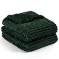 thumbnail image 1 of PAVILIA Super Soft Fleece Throw Blanket Twin Emerald Green, Fuzzy Plush Flannel Throw, Warm Cozy Ribbed Microfiber Blanket for Sofa Couch Bed, Lightweight Striped Blanket, Green, 60x80, 1 of 9