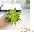 thumbnail image 2 of Fresh Blueberry Tropical Fruit Picture Fake Pineapple Flower Pot Vase Mini Decor, 2 of 3