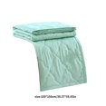 thumbnail image 3 of Meitianfacai Skin-friendly Plain Printed Washed Cotton Summer Quilt Ventilation Quilt, 3 of 8