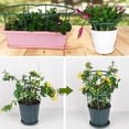 thumbnail image 3 of HHSFEIFUUU Cages pour Plantes Demi-Rondes Empilables Piquets de Soutien Intérieurs Tomate, 3 of 6